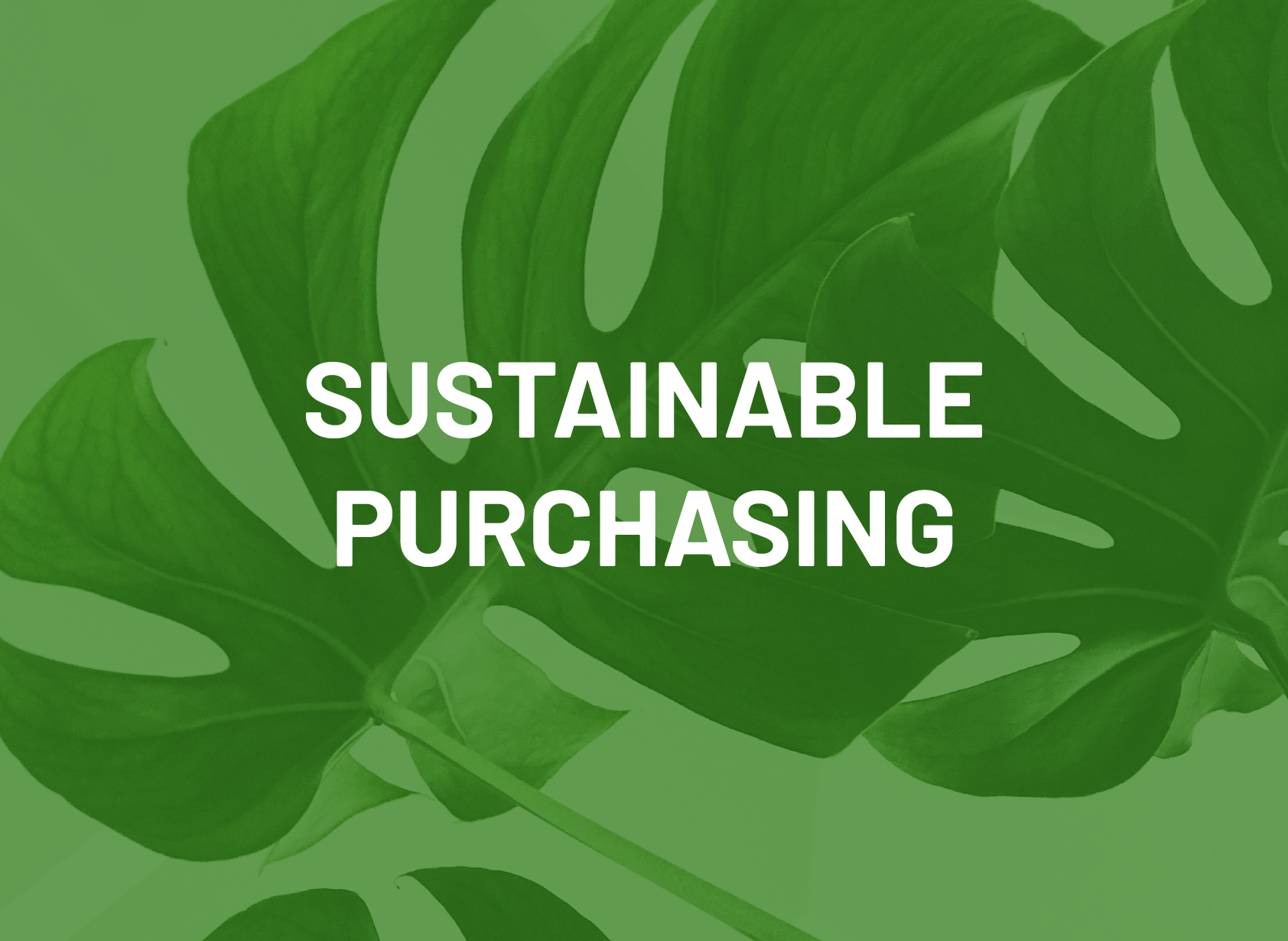 Sustainable Purchasing
